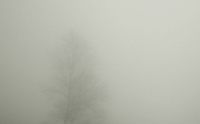 La niebla (